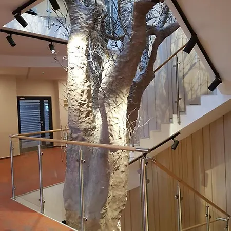 Centrum Misji Afrykanskich - Centrum Hotelowo-konferencyjne Hotel *