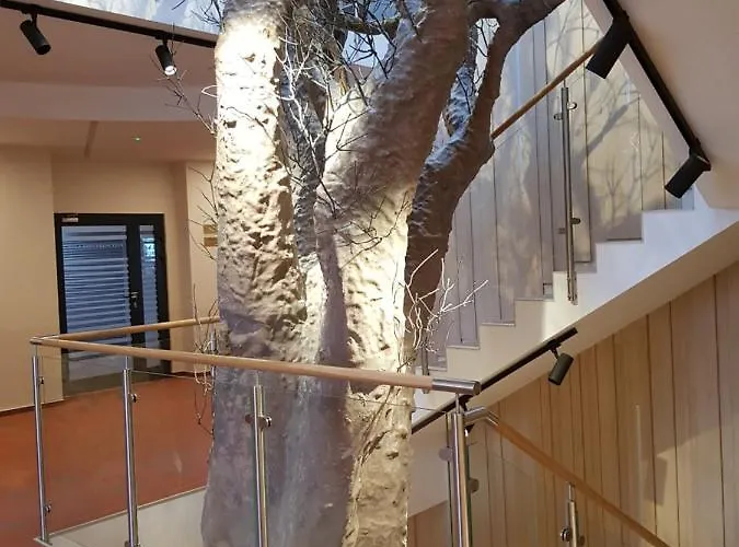 Centrum Misji Afrykańskich - Centrum Hotelowo-konferencyjne Hotel *